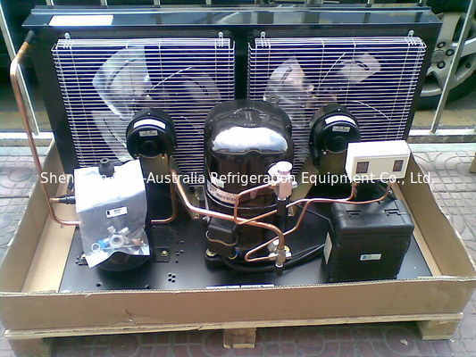 TAG2516ZBR Tecumsehの密閉空気は低温凝縮の単位4HP R404aを冷却した