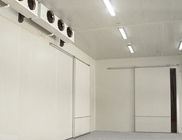 涼しい部屋0.8mmの1.0mm鋼鉄商業冷蔵室のカスタマイズされたサンドイッチ パネルの歩行