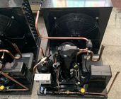 HFC R404aのフリーザー部屋の冷却ユニットZSI09KQE 3HP低温-23℃
