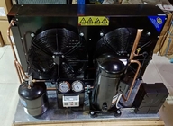 Copelandスクロール密閉冷凍の圧縮機の単位40m3 6HP CCCの低温貯蔵